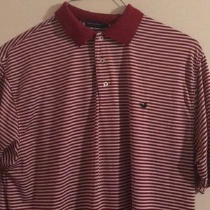 Southern Marsh Polo🦆